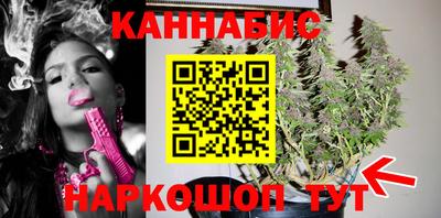 прущие крисы Можга