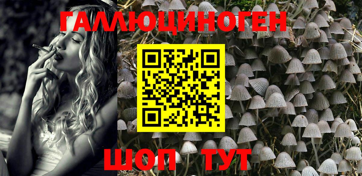 Галлюциногенные грибы Psilocybine cubensis Улан-Удэ