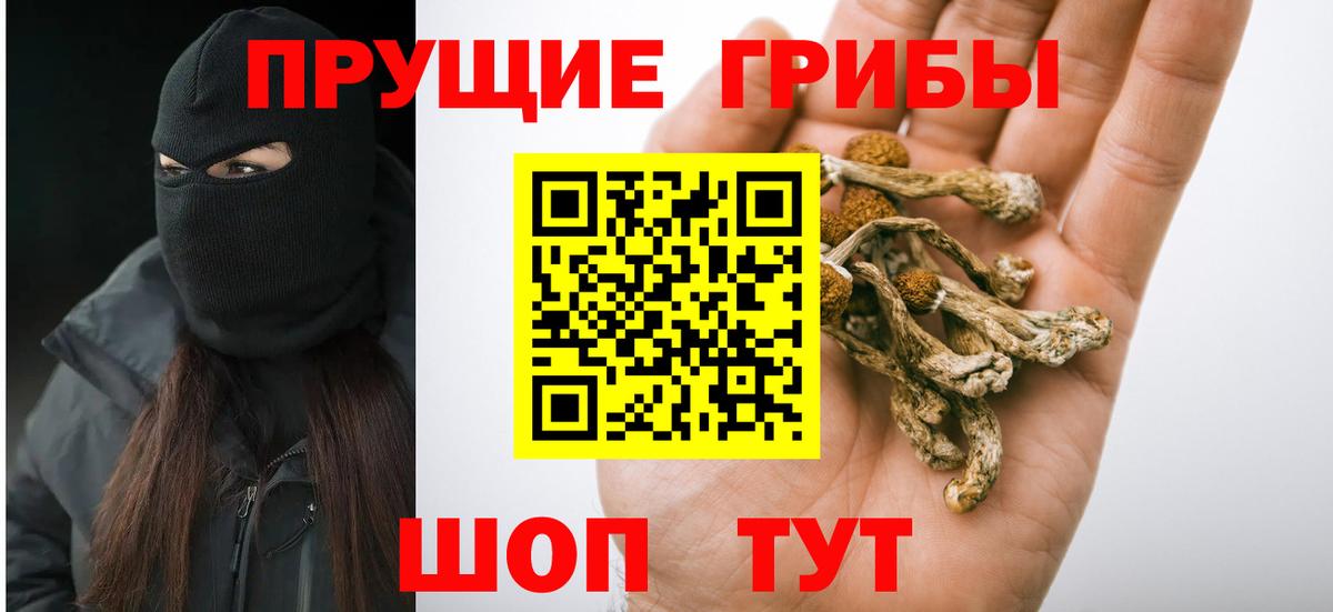 цены   Вход с VPN  Улан-Удэ  Галлюциногенные грибы мицелий 